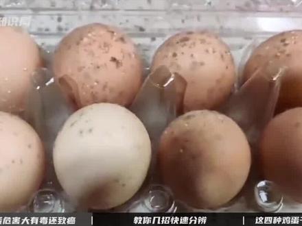 激素鸡蛋危害大,不仅有毒还致癌?这几种鸡蛋尽量不吃!#鸡蛋 #激素鸡蛋 #危害