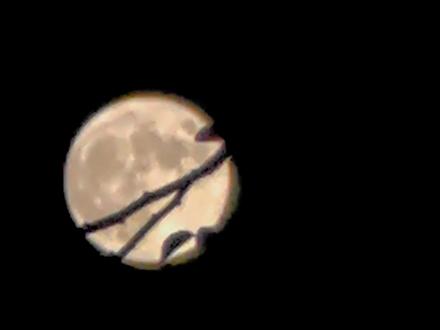 全网 Ai 拍月亮,手机终归不能当相机用#晒出你相册里的月亮 #拍月亮大赛 #中秋一起看超级月亮#华为 #mate60pro