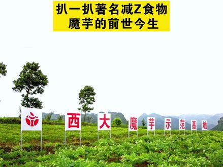 西南大学YYDS#科普一下 #涨知识 #好物推荐