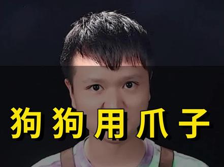 原来狗狗用爪子扒拉你时,它是这几个意思#狗狗 #新手养狗 #宠物狗