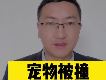 第355期
【道路交通事故专题】宠物被撞死,损失如何算?
因交通事故导致他人饲养的宠物伤亡,侵权人应根据责任大小承担赔偿责任。至于赔偿的具体金额,依据事故发生时的市场价格或者鉴定的价格,进行确定。如果宠物主人没有尽到注意、防范义务,则要自行承担部分损失。
#交通事故 #宠物 #价格