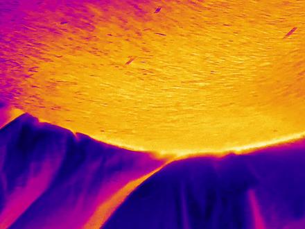 这个特效是不是可以看狗子身上有没有跳蚤#热成像 #家有傻狗