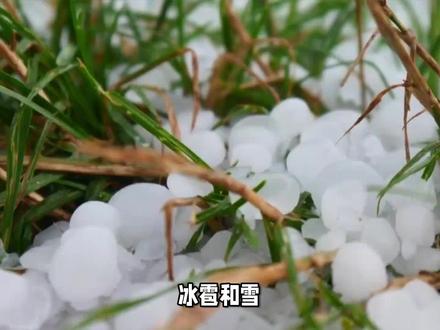 冰雹和雪有什么区别 #传统文化 #知识 #老六师傅