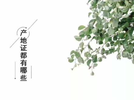 #电商创业 #外贸 #学习 产地证的种类都有哪些