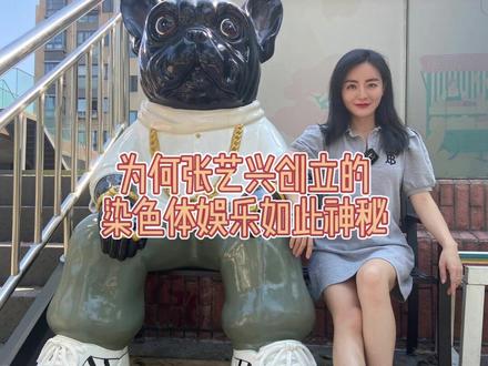 为何张艺兴创立的染色体娱乐如此神秘@张艺兴 #染色体娱乐集团 #lay #练习生