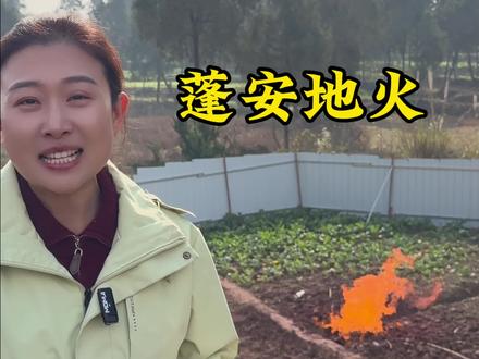 冬天里的一把地火~#蓬安 #地火