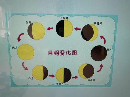 涂色——认识月亮的变化