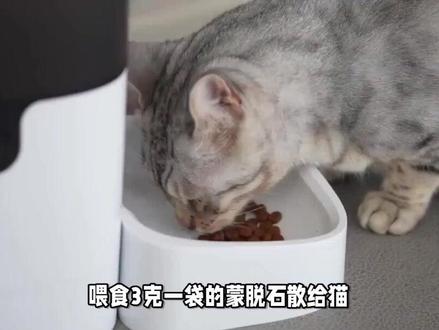 3克一袋蒙脱石散如何喂猫 #宠物吃货 #喂猫日记 #喂猫#养猫新手 #猫草 #馋猫 #猫知识 #猫粮 #猫零食