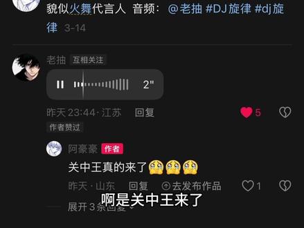 关中王来了#DJ旋律 #dj旋律 #刘邦 #项羽