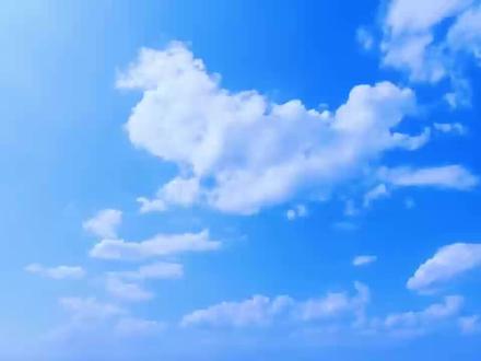 宜学宜居古蔺职高(二)