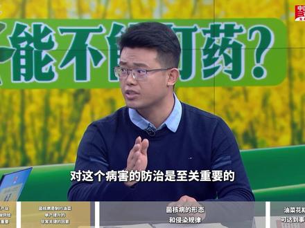 专家详解:为什么要在油菜花期打药 #媒体精选计划