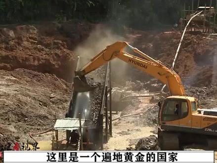 遍地黄金的苏里南,淘金客轻松月入5万,中国人在这占据重要地位 #危险道路 #淘金 #纪录片