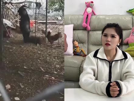 动物的迷惑行为大挑战,木木姐感觉又被套路了