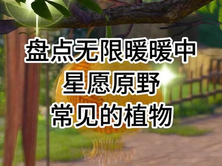 原来无限暖暖大世界采集物的建模这么精致! 盘点无限暖暖中心愿原野常见的5种植物,盘点包括采集物的外观与现实原型。#无限暖暖 #无限暖暖大世界 #无限暖暖摄影 #无限暖暖万灵的归途 #无限暖暖植物