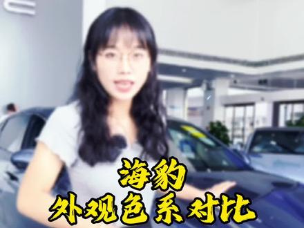 #创作灵感 #比亚迪海豹 北冰蓝和亚特兰蒂斯灰怎么选?看过来看过来
