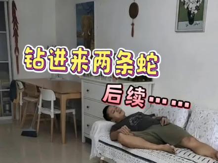 教你画蛇,学会了来评论区报道 #教你画 #丙烯马克笔 #创意 #立体画#教学