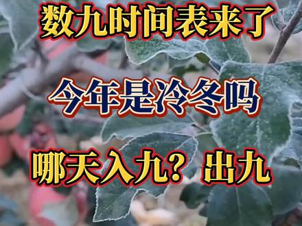#三农种植 #传播农业小知识 #助力三农 #农业人 #抖音知识分享 数九时间表来了今年是冷冻吗哪天入九?出九?@抖音小助手