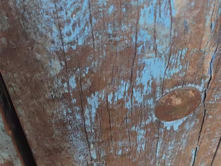 基米小院迎来第二位新成员!#猫咪 #猫 #萌宠 #宠物 #动物