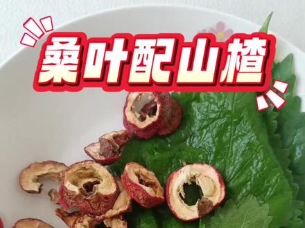 桑叶配山楂,要多牛有多牛,流传百年古法