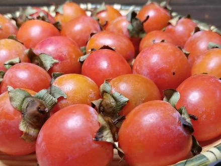 柿子红了,做成柿子玉米面窝窝头,寻找儿时的记忆,妈妈的味道 #