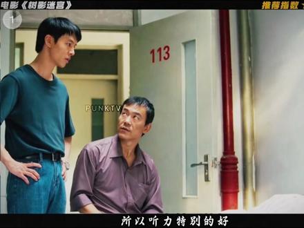 肥猫哪壶不开提哪壶,峰僧含冤离场太憋屈。 #影视解说 #树影迷宫 #悬疑