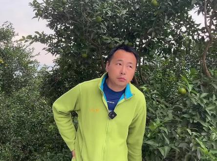柑橘种植果实干水的原因,以及解决办法