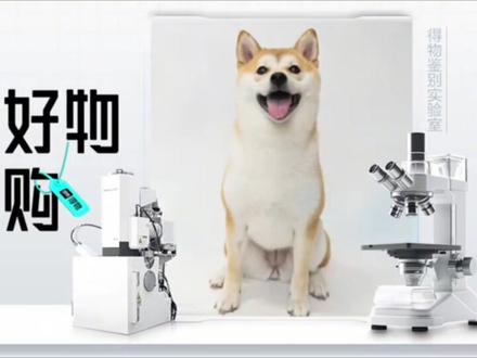 斗罗中唐昊的长老令哪里来的 #斗罗 #动漫