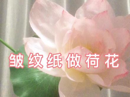 皱纹纸荷花,自制拍照道具制作过程#汉服 #手工 #皱纹纸荷花 #纸艺手工 #diy