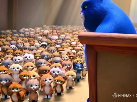 假期你去看电影了吗 #月半猫 #胖猫 #开学 #猎奇 #海螺ai