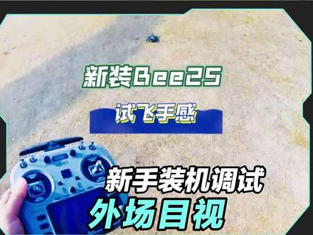 新装模拟Bee25试飞 装完飞机最重要的是试飞,看看跟不跟手#穿越机 #无人机 #亲子互动 #bee25 #fpv