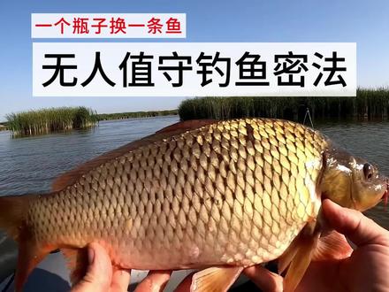 用简单的塑料瓶就能实现【无人值守钓鱼】,简单、易学、收藏! #打窝 #钓鲫鱼 #野钓技巧 #钓鱼教学