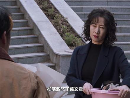 惊天反转!张放假死逃亡10年,回归自首葛文君彻底慌了 #倪妮 #闫妮 #刘敏涛 #刘雅瑟