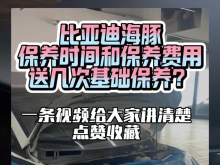 比亚迪海豚保养时间和保养费用! 一条视频给大家讲清楚,点赞收藏#比亚迪保养 #比亚迪海洋网 #比亚迪海豚 #每天一个用车知识 #开海豚的年轻人小慧