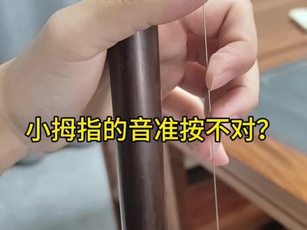 怎么能把小拇指的音按准呢#二胡#二胡教学#二胡演奏