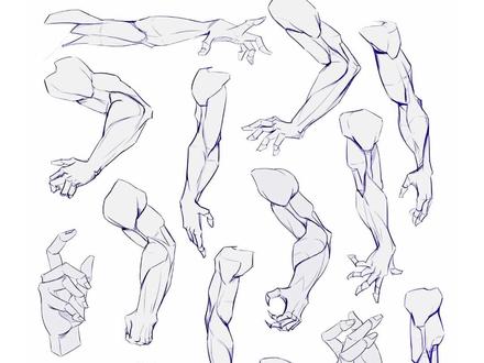 一招教会你画四肢#插画教程 #板绘 #人体教程 #零基础学画画 #插画分享