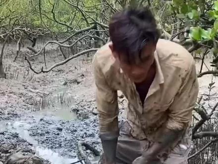 福建漳州,漳江口红树林户外赶海,抓青鳗技术活啊过程来了欢迎欣赏。#赶海娱乐#渔民生活实拍