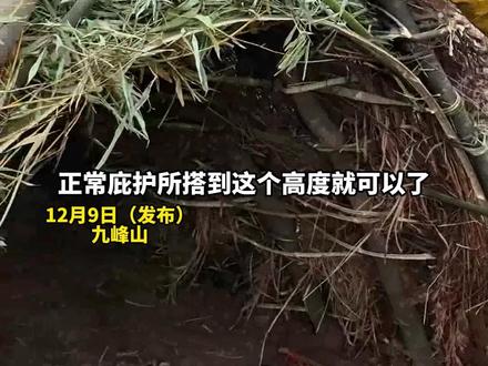 九峰山荒野求生训练营!野外求生挑战赛 万元大奖等你拿!“搭建庇护所 生火 垒烟囱全都有讲究”。#野外求生 #庇护所建造 #挑战