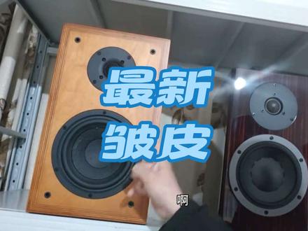 50芯的牛屎盆喇叭单元,diy也要一k多一对才能买的
#音响 #音响设备 #音响发烧友 #音响推荐 #hifi
