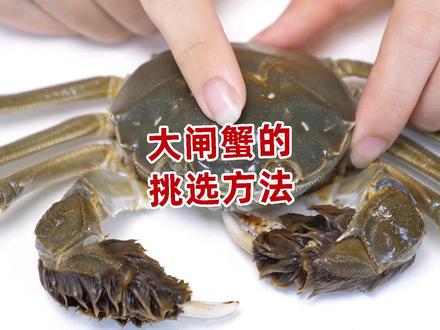 大闸蟹好不好,看这里就知道,学会这个技巧选大闸蟹就是这么简单