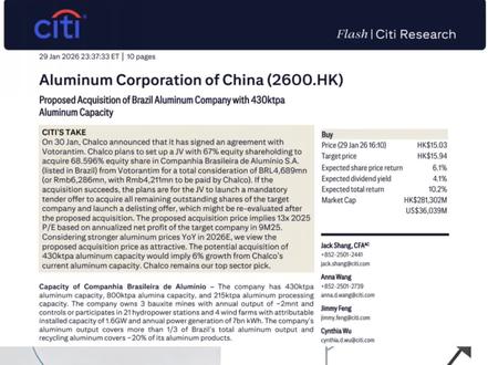 抄底巴西铝王?13倍PE抢巴西铝王,花旗喊买!中国铝业收购大戏揭开#全球 #趋势 #投资 #国际 #经济