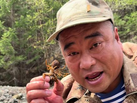 世界上最贵的“小龙虾”你们吃过吗? 这种贵到离谱的“小龙虾”就是东北的水蝲蛄,也叫东北鳌虾,它的鲜香味别提有多好吃了#抖音美食推荐官 #记录真实生活 #农村生活 #户外 #抖音助农