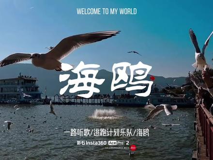 《海鸥》是逃跑计划乐队的经典作品,由主唱毛川作词作曲,收录于乐队 2021 年 9 月 6 日发行的专辑《回到海洋》,同时还担任了电视剧《迎风的青春》的片尾曲。歌曲以海洋相关意象为核心,在旋律编排和歌词表达上极具巧思,既延续了乐队一贯的摇滚底色,又通过诗意表达传递出关于遗憾、成长与释然的深度思考。
歌词通过多重意象的交织构建出充满哲思的情感世界。自然层面以 “潮汐”“渔民”“礁石”“海风” 等元素,隐喻时间的循环流逝与生命的起起落落,比如 “昨夜的潮汐”“今晨已褪去” 就暗示着时光不可逆;人文层面则勾勒了 “教堂婚礼”“偷听情话的孩童”“变了模样的城市” 等碎片化生活场景,用甜蜜的场景与 “没有你在身旁” 的疏离感形成对比,道尽物是人非的怅惘。而核心意象 “海鸥”,既是自由的象征,也是遗憾的投射载体,歌中反复出现的呼喊,既是对过往的追忆,也是情感的释放。
整首歌的核心立意聚焦于伤痛与遗憾的辩证关系,“所有伤痛都会过去,也明白有些遗憾会永远留在心里” 这句歌词直白点出主旨 —— 承认时间能淡化伤痛,但也不回避生命中那些无法逆转的缺憾,最终在 “海风再起” 的平静氛围中完成情感闭环,传递出一种与过往和解的释然。#海埂大坝喂海鸥 #红嘴鸥 #vlog日常 #逃跑计划 #修行