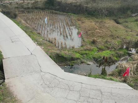 中江G350国道改造三期,会龙镇至继光湖段,正式开工了。三期工程起于会龙镇场镇西侧,止于双龙黄坡店村,一共25公里,计划于2028年底建成通车,工期三年。道路为双向四车道加两个非机动车道,限速60公里每小时。希望早日修好通车!#中江G350国道改造三期 #航拍最美家乡