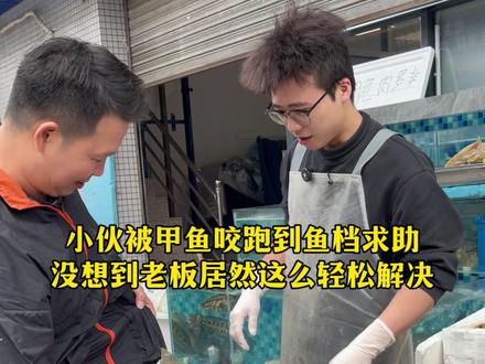 小伙被甲鱼咬跑去鱼档求助,没想到老板这么轻松解决 #记录真实生活 #杀鱼技术 #刀工 #厨房菜刀