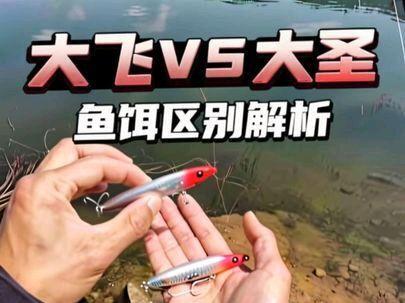 很多钓友不知道大飞和大圣怎么选择今天一个视频告诉大家#长河大飞铅笔 #长河大圣铅笔 #水隼粉色pe #抖音运动班 #晒晒长期主义的运动好物 @长河路亚
