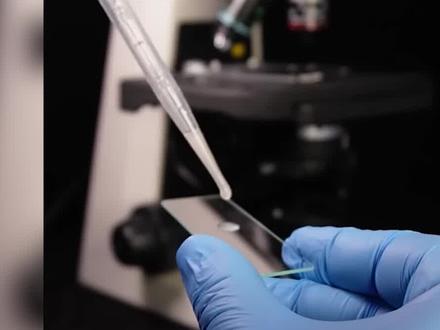 把黑头放大100倍会看到什么?#黑头 #科学 #科普