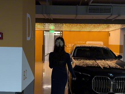 马年罚你开宝马7系 认罚扣7#宝马7系 #王阿姨