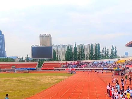 分享一个运动会起跑小技巧#体育培训 #青少年体适能 #田径训练 #少儿体能训练 #周校长体育教学