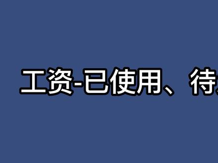 工资-已使用的下账和待发放操作视频