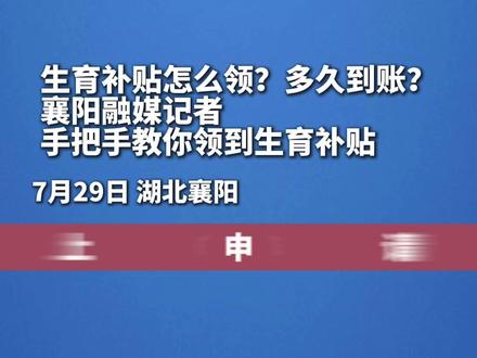 生育补贴怎么领?多久到账?襄阳融媒记者手把手教你领到生育补贴(记者:刘沫池 编辑:梁文珂 责编:梁龙 审核:曾春满)